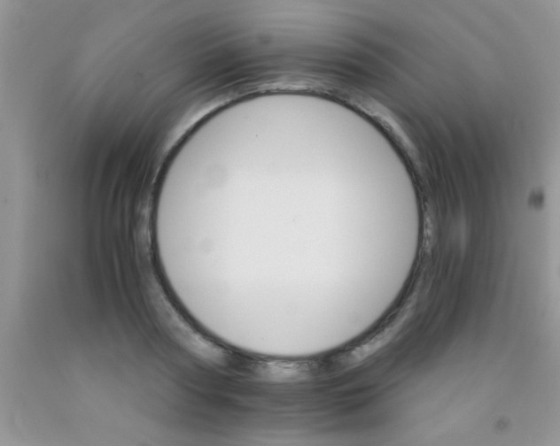 X0000091340794200709071217