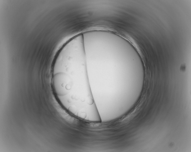 X0000091340795200709071217