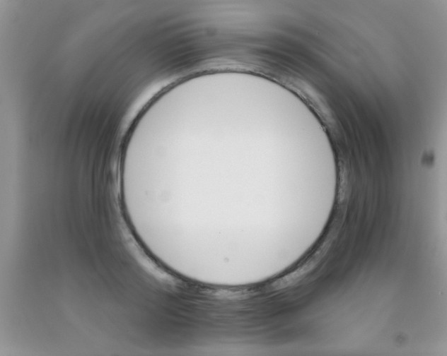 X0000091340796200709071217