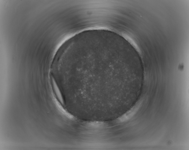 X0000091340797200709071217