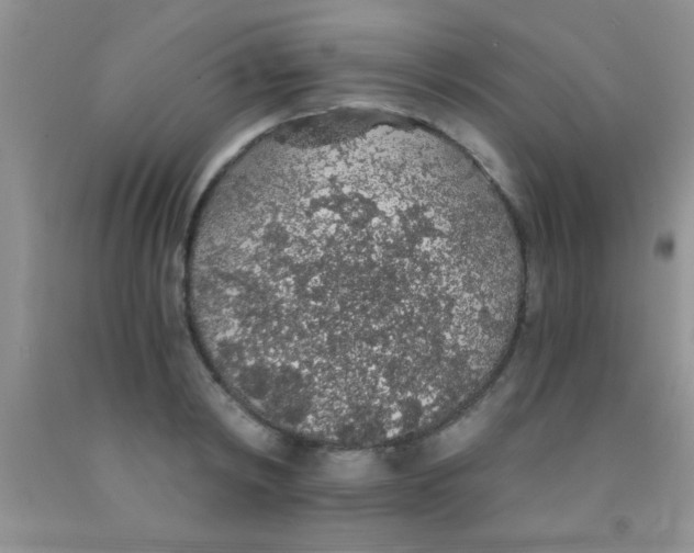 X0000091340798200709071217