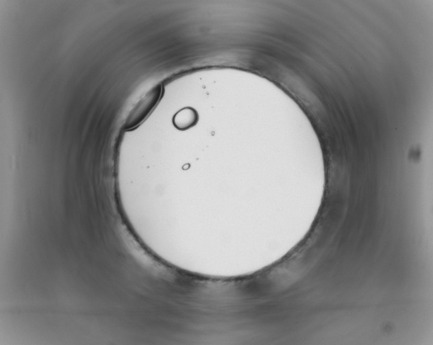 X0000091340800200709071217