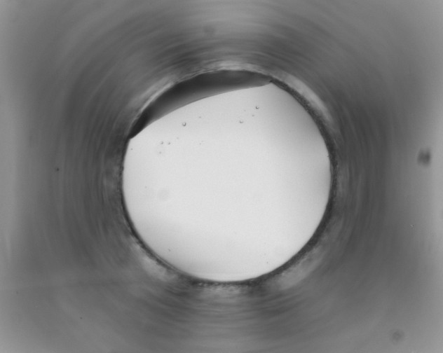 X0000091340801200709071217