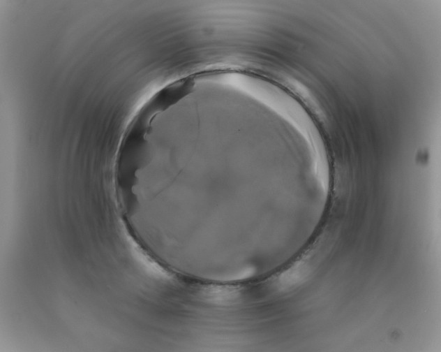 X0000091340802200709071217