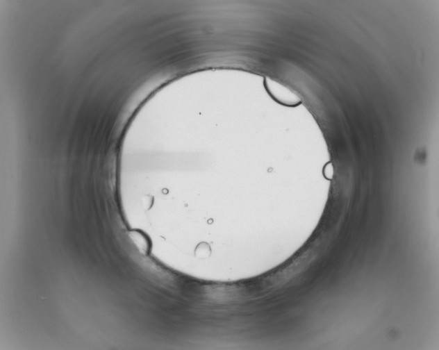 X0000091340804200709071217