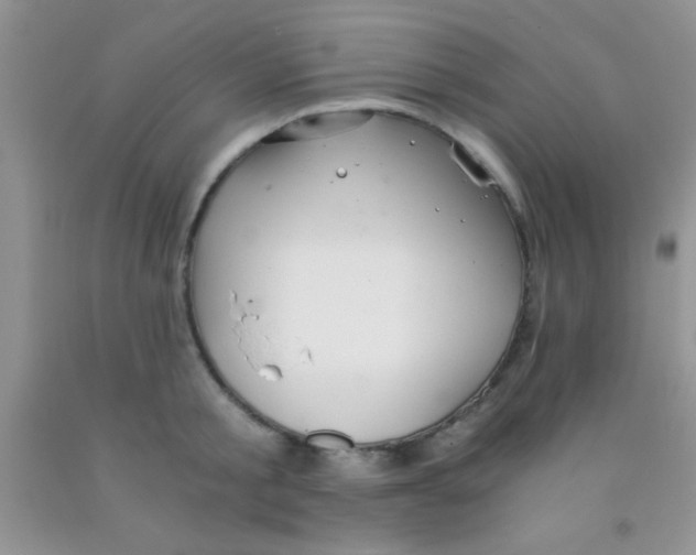 X0000091340805200709071217