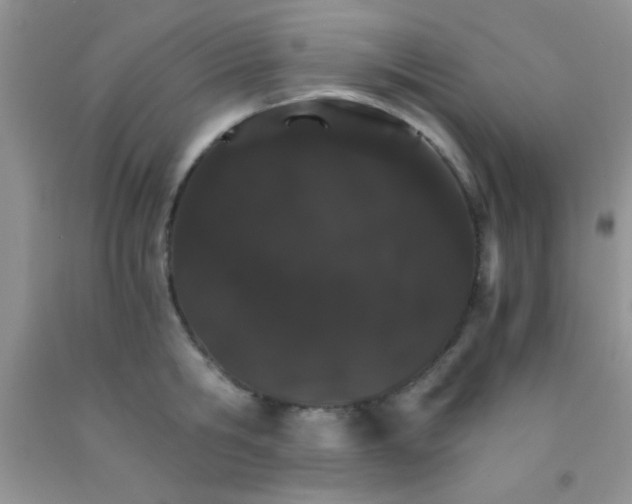 X0000091340806200709071217