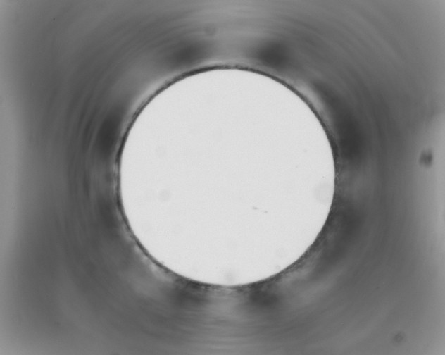 X0000091340807200709071217