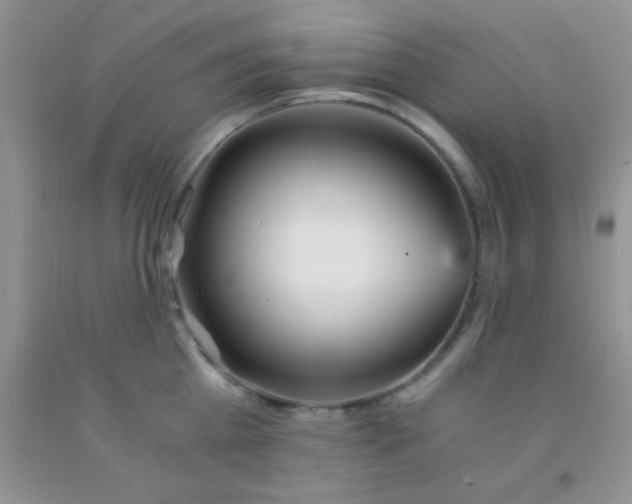 X0000091340809200709071217