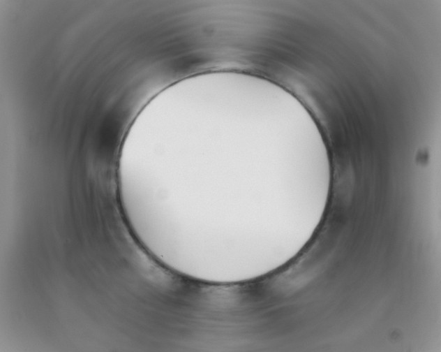 X0000091340810200709071217