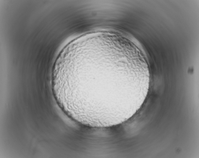 X0000091340811200709071217