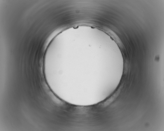 X0000091340812200709071217