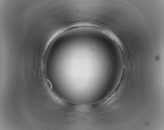 X0000091340813200709071217