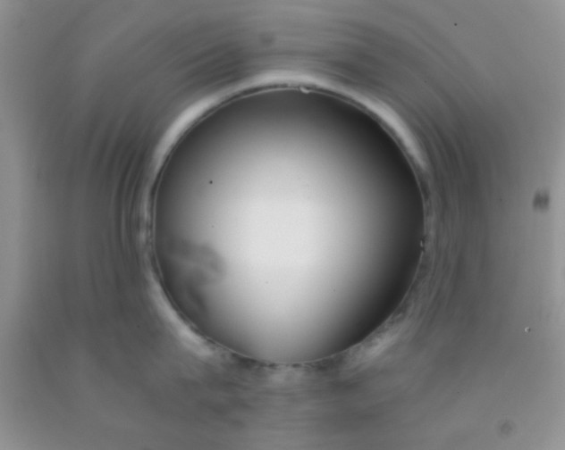 X0000091340815200709071217