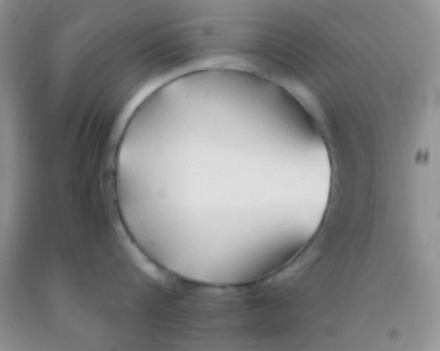 X0000091340816200709071217