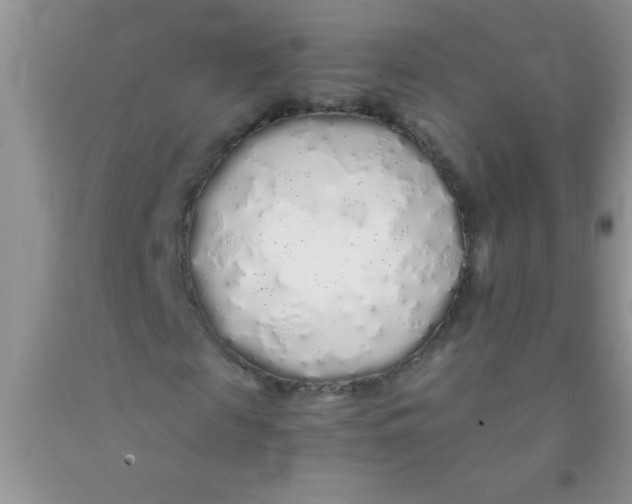 X0000091340817200709071216