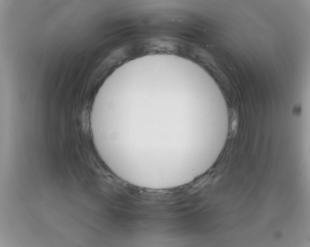 X0000091340819200709071216