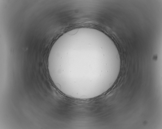 X0000091340820200709071216