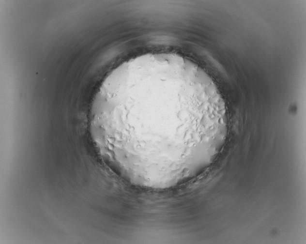 X0000091340821200709071216