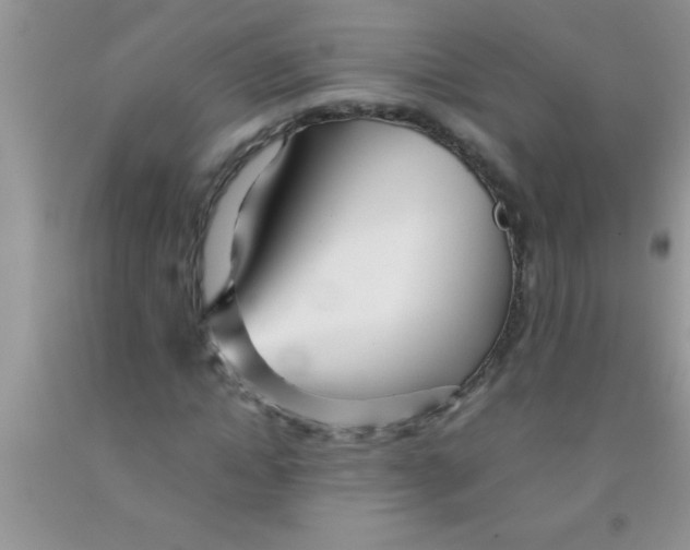 X0000091340822200709071216