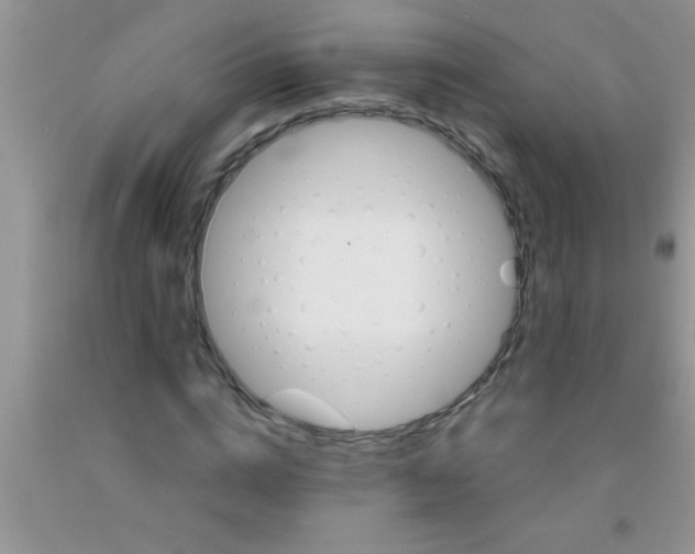 X0000091340824200709071216