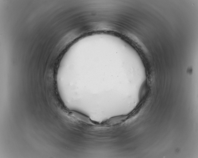 X0000091340825200709071216