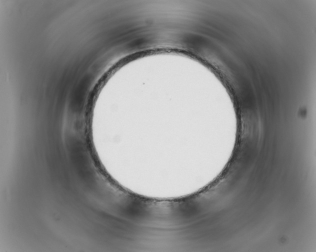 X0000091340828200709071216