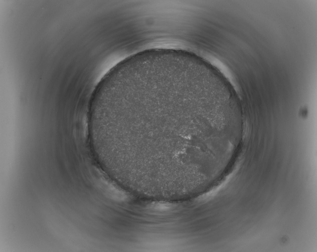 X0000091340829200709071216