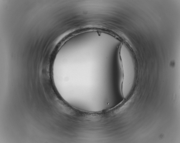 X0000091340830200709071216