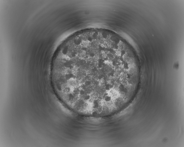 X0000091340831200709071216