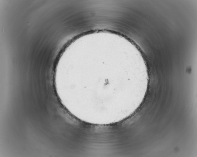 X0000091340832200709071216