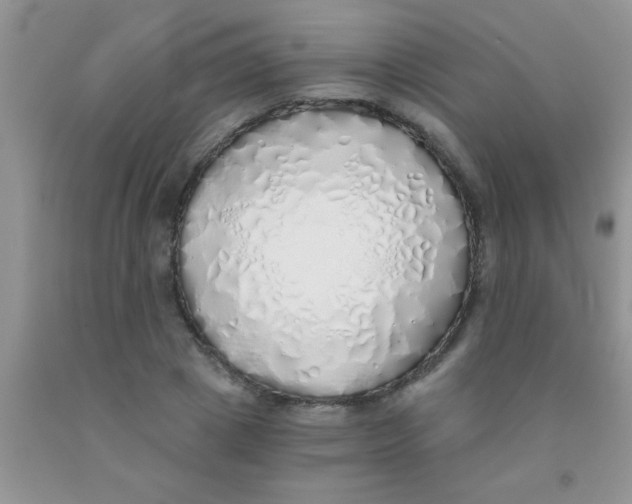 X0000091340833200709071216