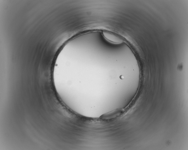 X0000091340834200709071216