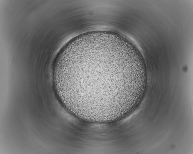 X0000091340835200709071216