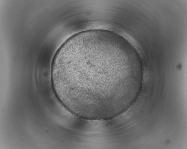 X0000091340836200709071216