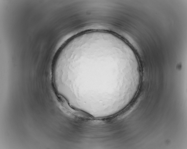 X0000091340837200709071216