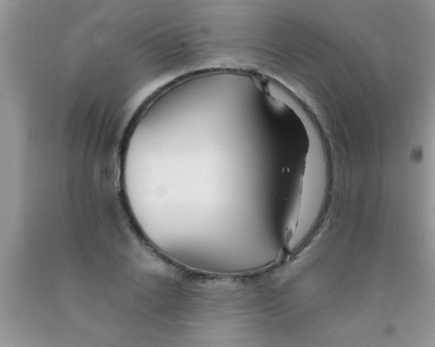 X0000091340838200709071216