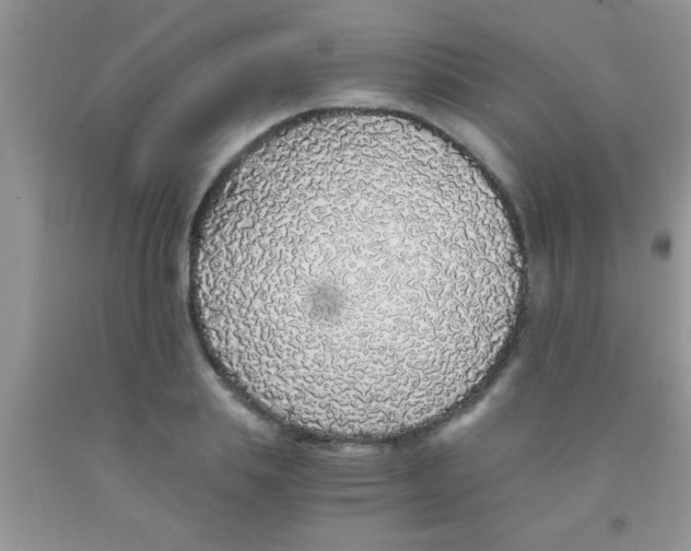 X0000091340839200709071216