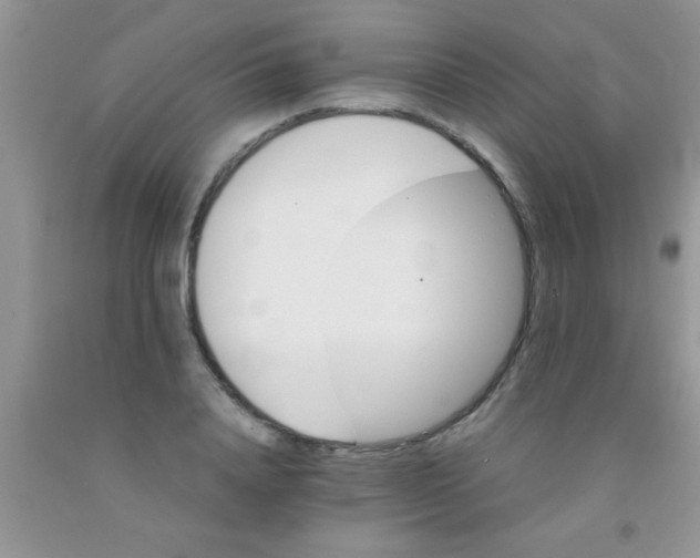 X0000091340840200709071216