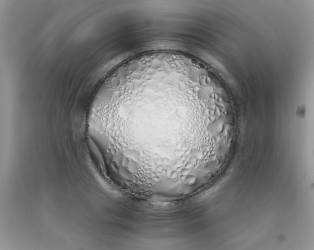 X0000091340841200709071216