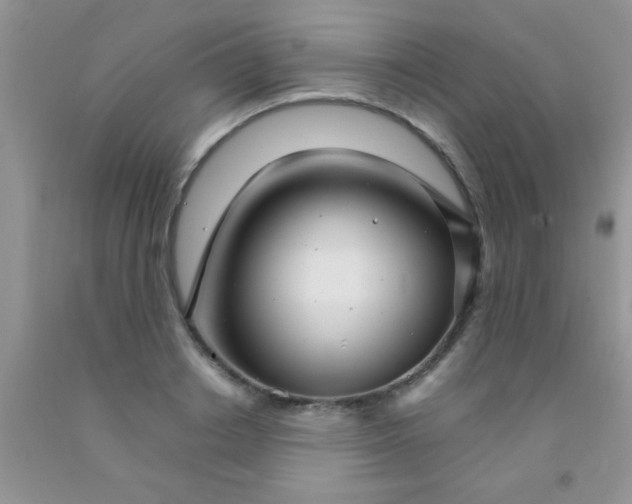 X0000091340842200709071216