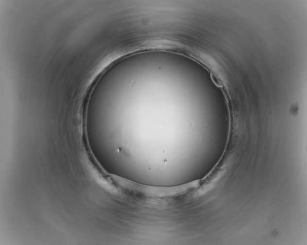 X0000091340843200709071216