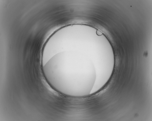 X0000091340844200709071217