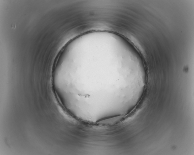 X0000091340845200709071217