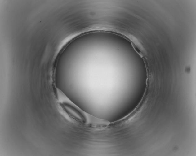 X0000091340846200709071217