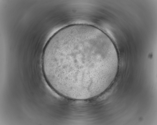 X0000091340847200709071217