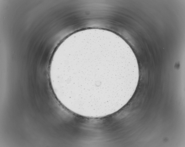 X0000091340848200709071217