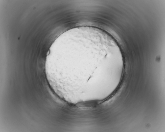 X0000091340849200709071217