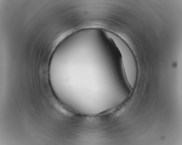 X0000091340850200709071217