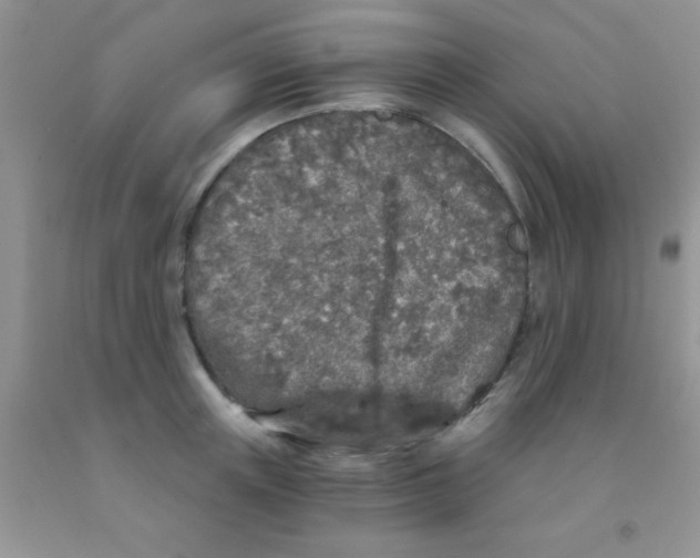 X0000091340851200709071217